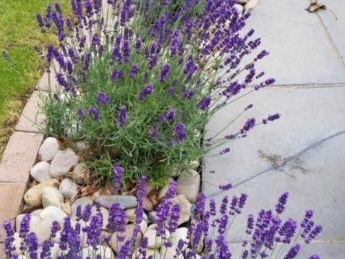 Apartman Aqua Podstrana Bagian luar foto